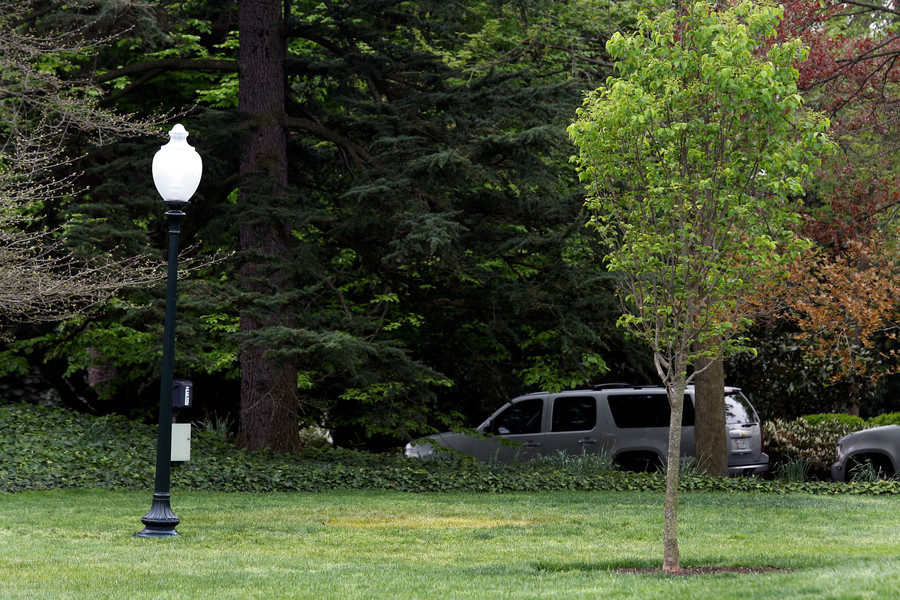 Click to enlarge Missing tree