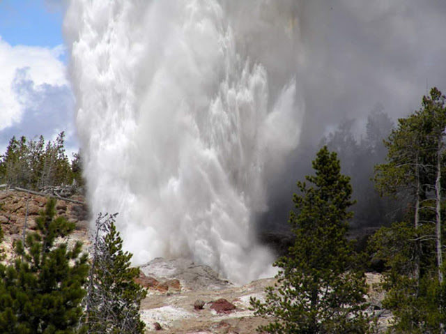 geyser yellowstone