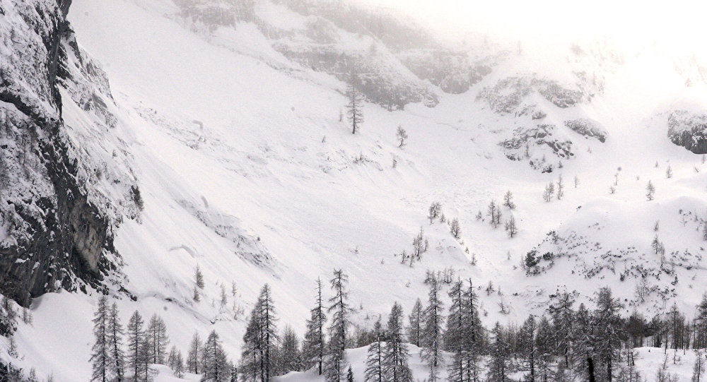 Swiss Alps