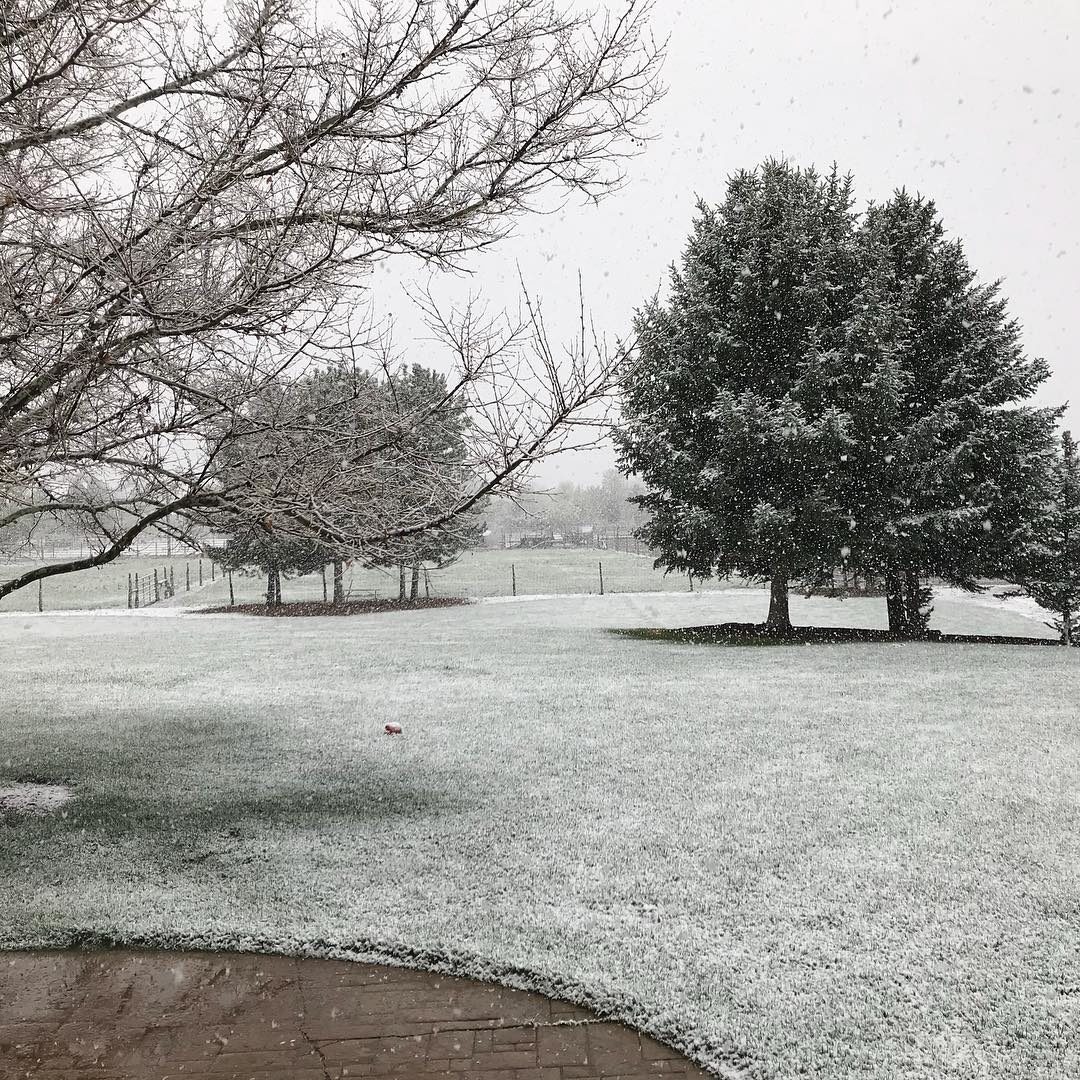 Click to enlarge snow