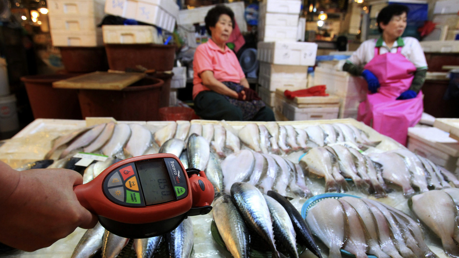 Click to enlarge fukushima fish