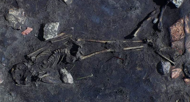 Click to enlarge ice age massacre sweden