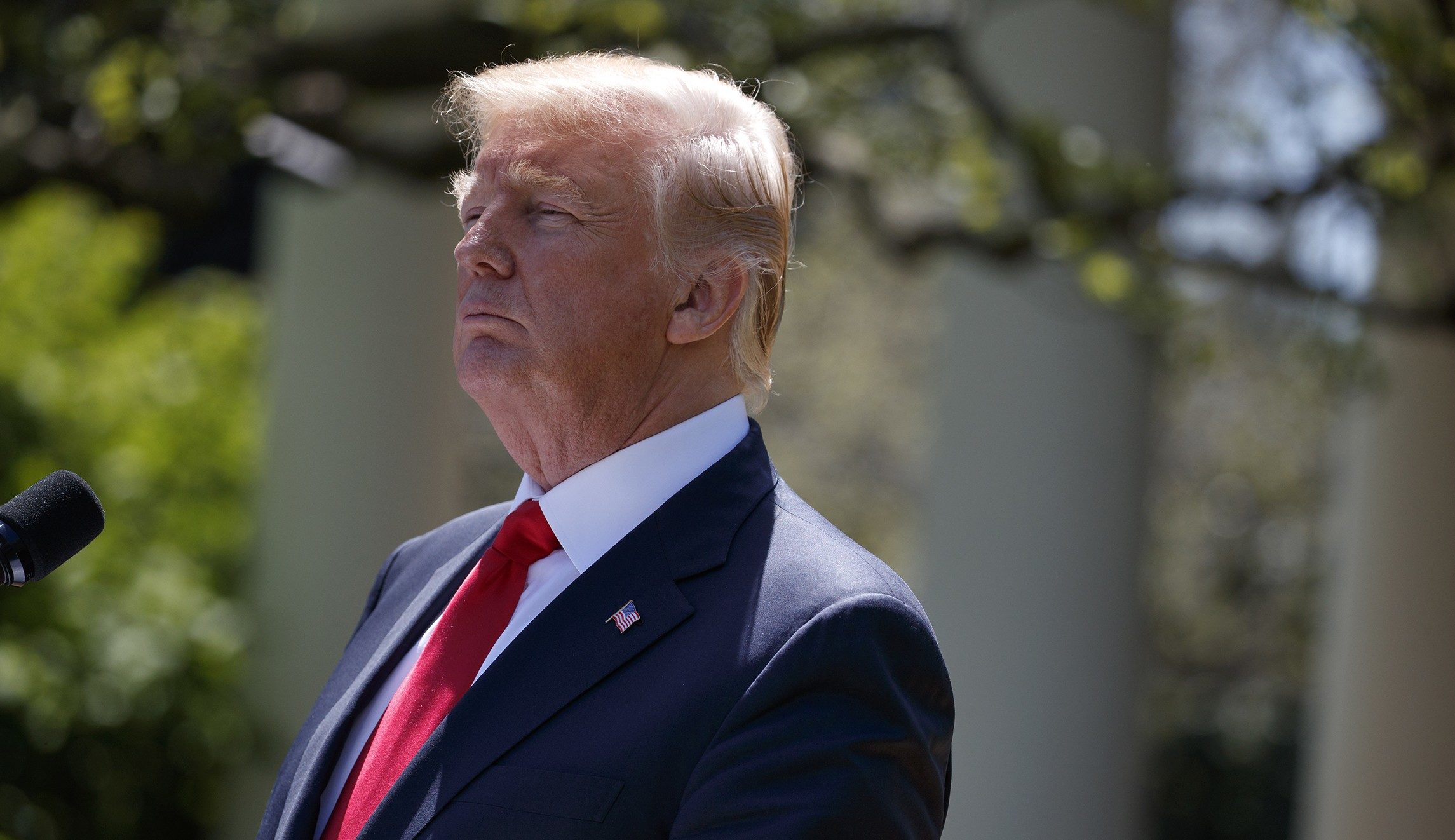 Click to enlarge Trump term limits