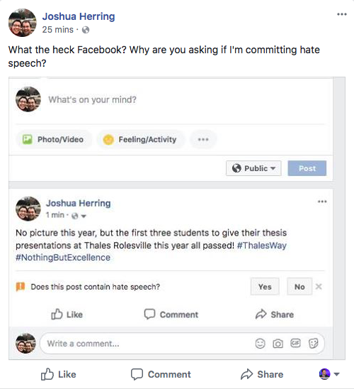 Click to enlarge facebook hate speech initiative
