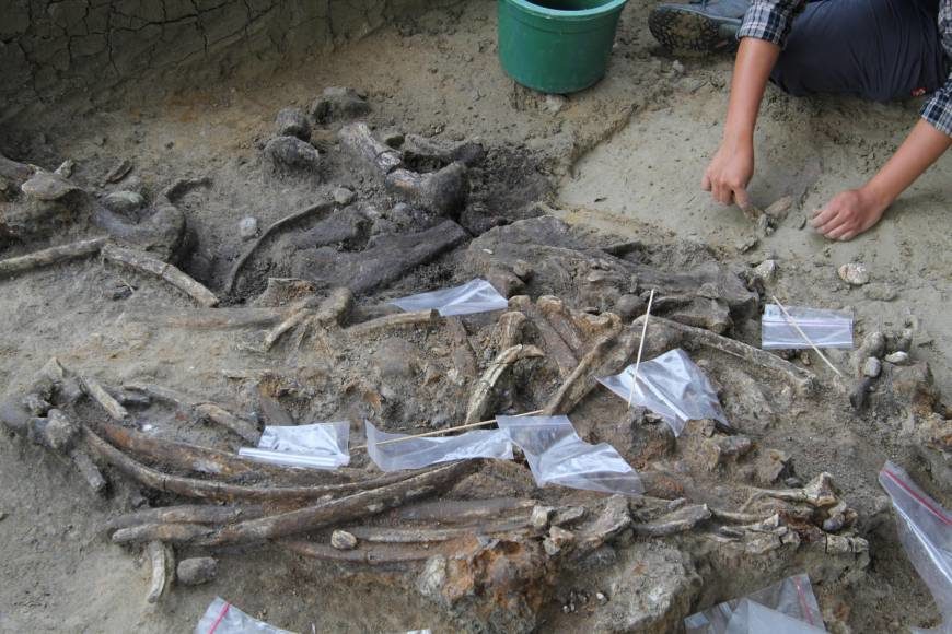 archaeological dig at Kalinga in the Philippines