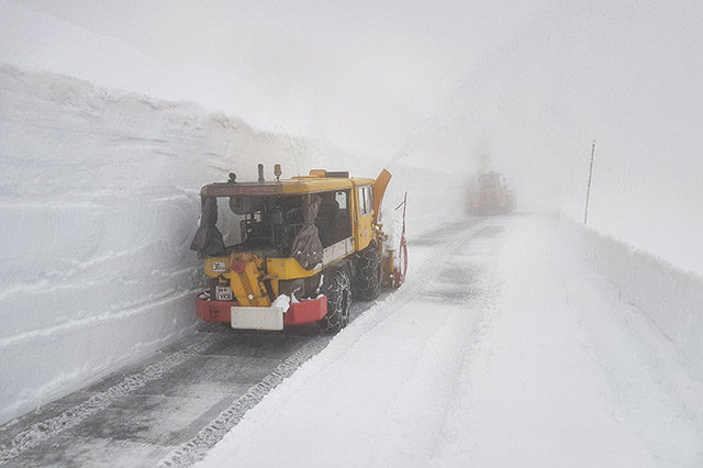 bank o f snow