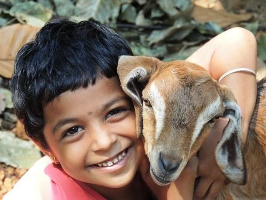 child with baby goat
