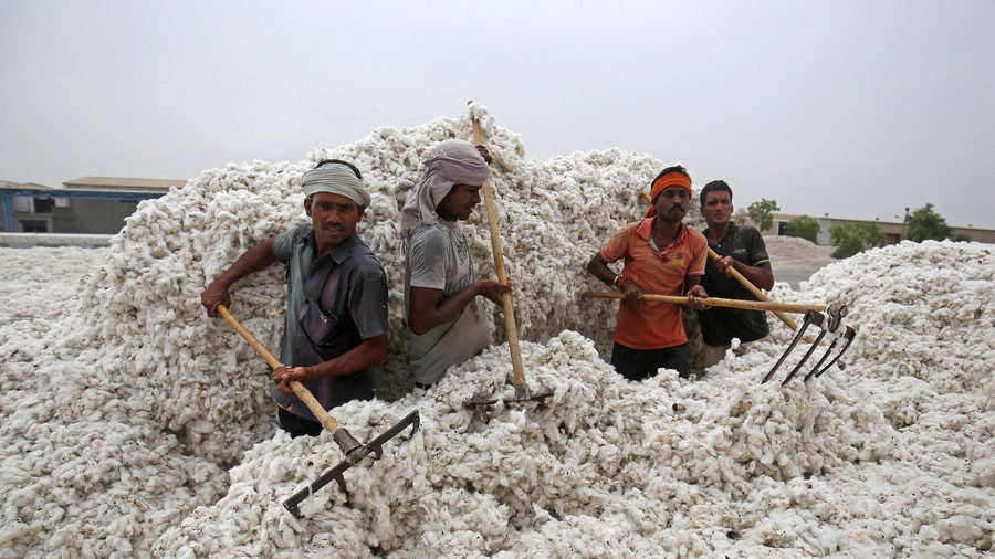 Cotton growers in India