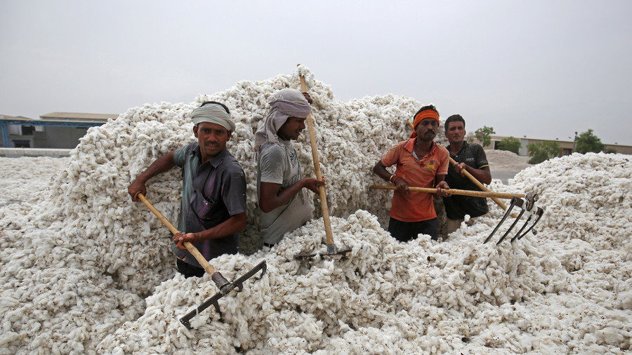 Click to enlarge Cotton growers in India