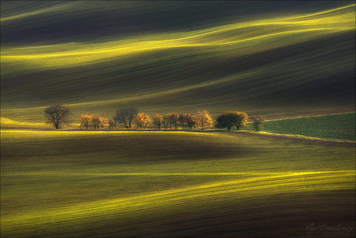 Click to enlarge Nikon D610 Tamron 150-600 Czech Republic