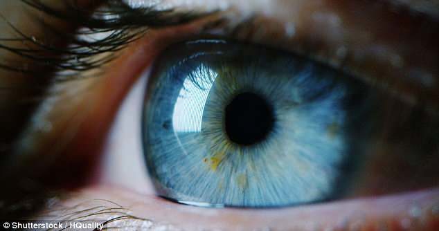 Eye movements linked personality