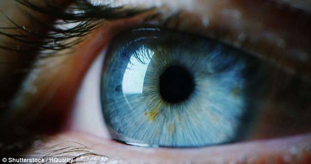 Click to enlarge Eye movements linked personality