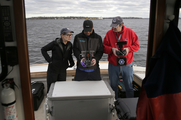 Click to enlarge Hart Island