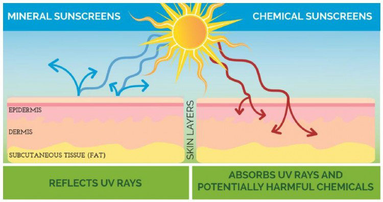 sunscreen