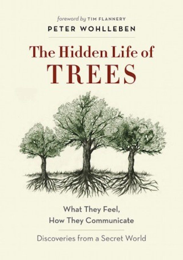 the tree book inside the secret life of trees the tree book inside the secret life of trees