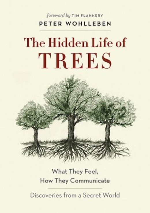 Click to enlarge trees