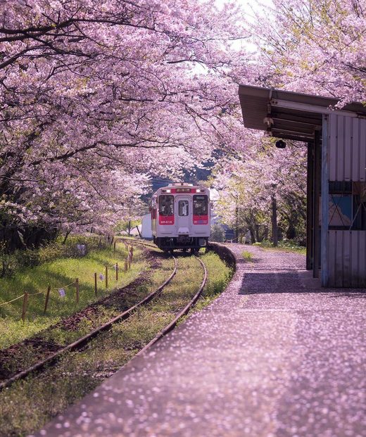 Click to enlarge Uranosaki station, Yamashiro-chō Tachiiwa, Imari City, Saga Prefecture