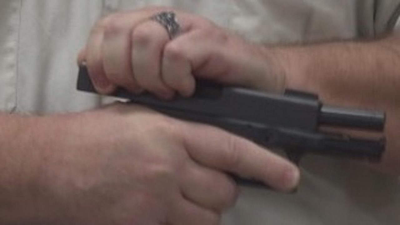 Click to enlarge elderly man gun 2nd amendment