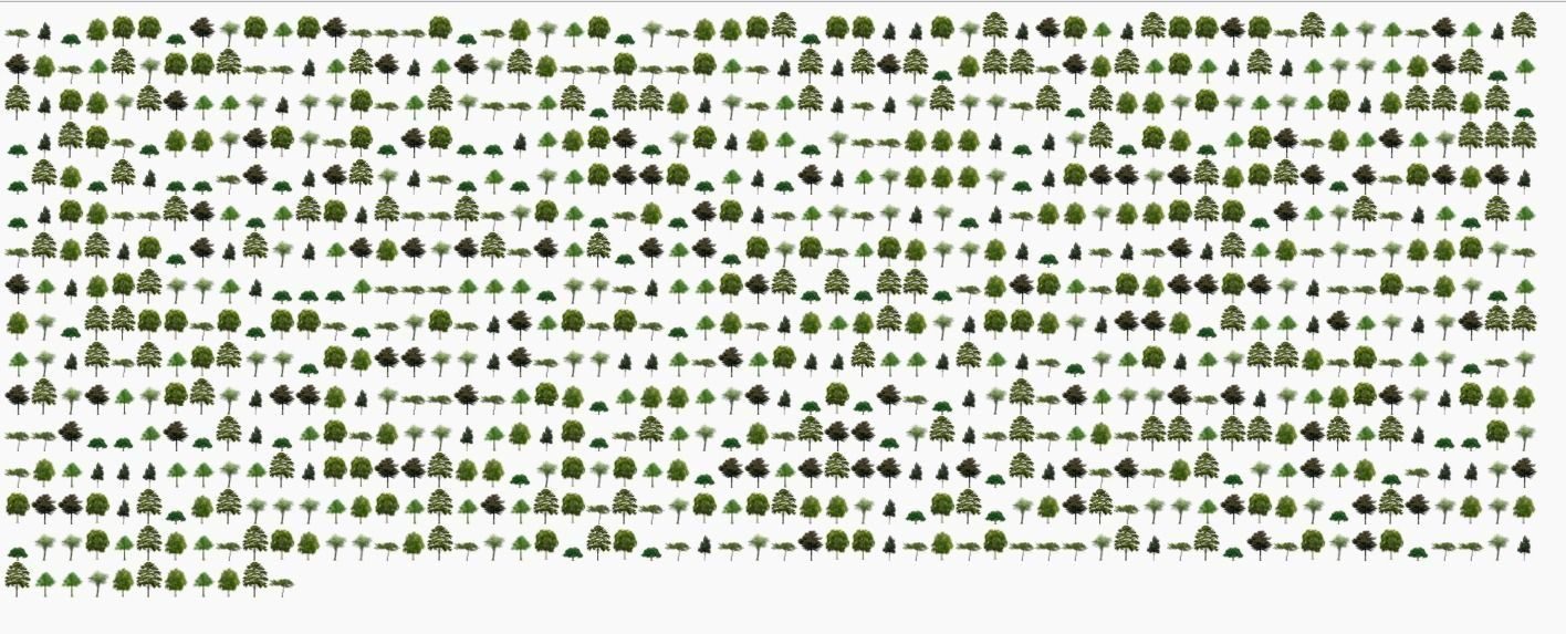 google carbon footprint