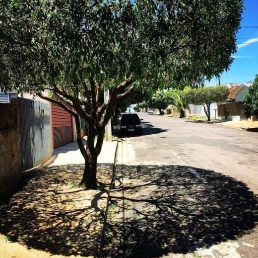 Click to enlarge Tree shadow