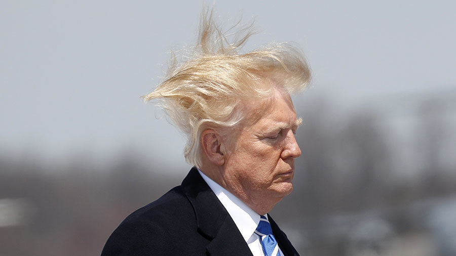 Click to enlarge trump hair