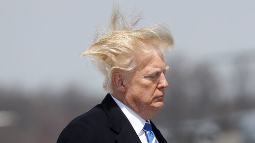 Click to enlarge trump hair