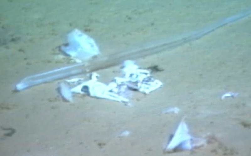 mariana Trench plastic pollution