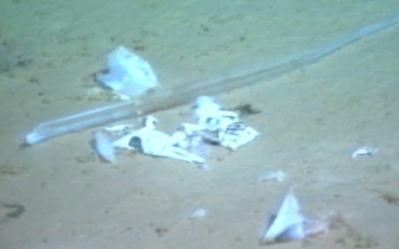 Click to enlarge mariana Trench plastic pollution
