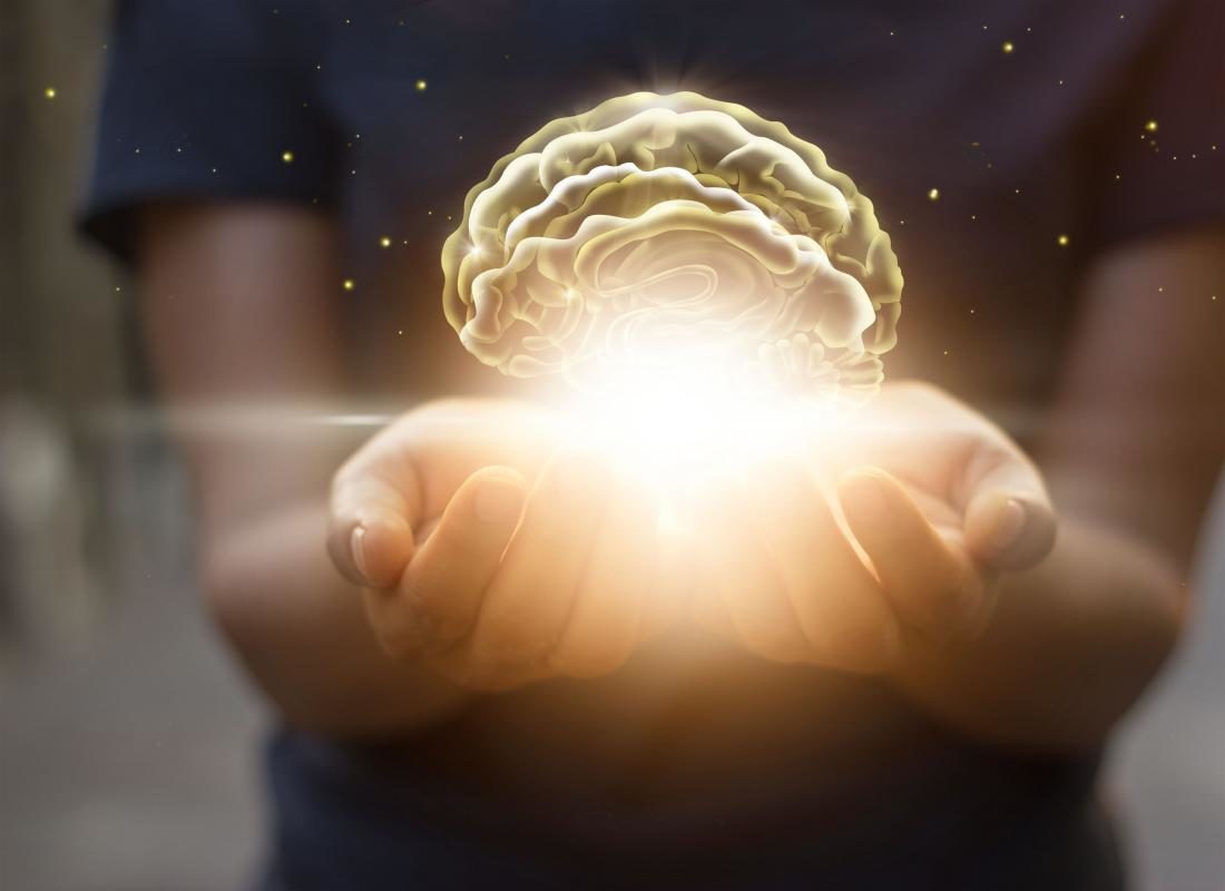 Brain, memory