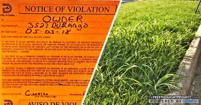 grass cutting violation