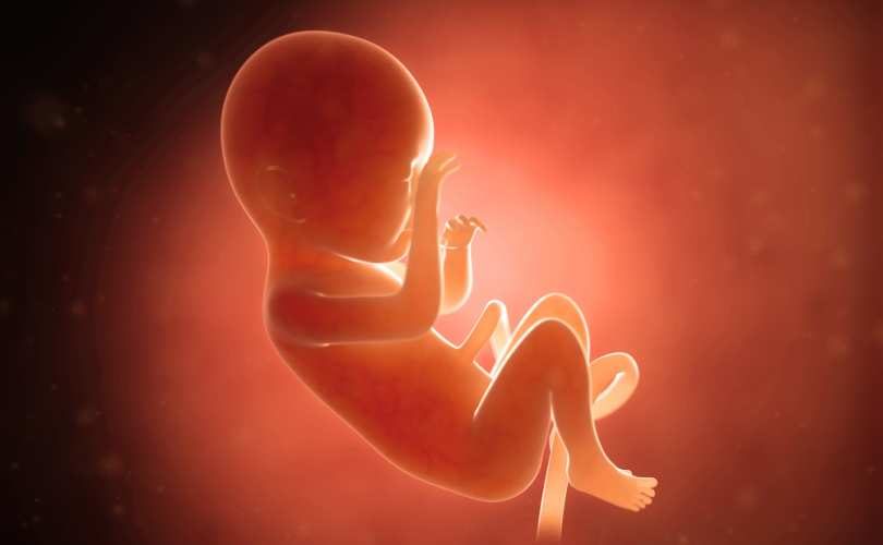Click to enlarge fetus