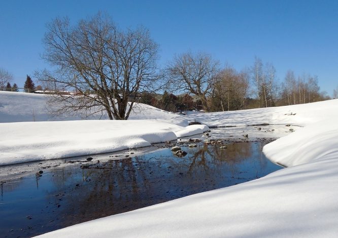 Snow unexpectedly fell in the four departments, with the forecaster admitting it was 