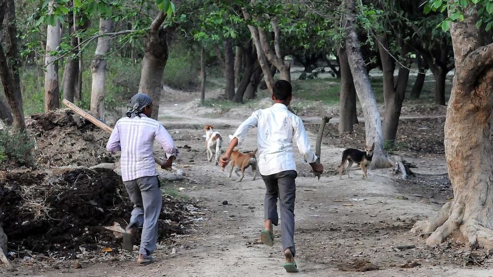 Villagers chasing away dogs in Sharfapur village in Sitapur on May 1.