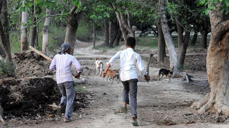 Villagers chasing away dogs in Sharfapur village in Sitapur on May 1.