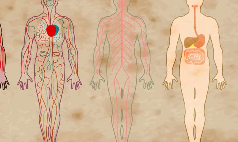 Click to enlarge mind and body