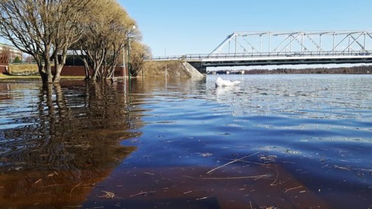 Tornionjoki river is rising quickly