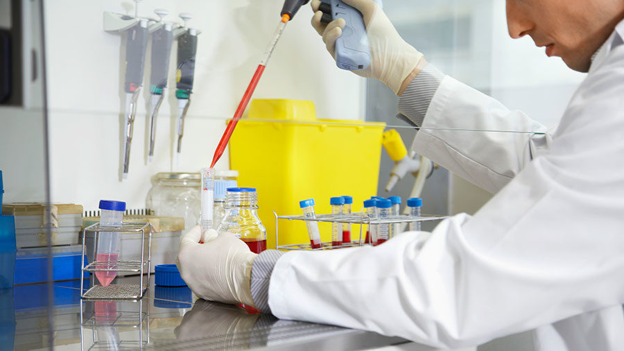 lab test