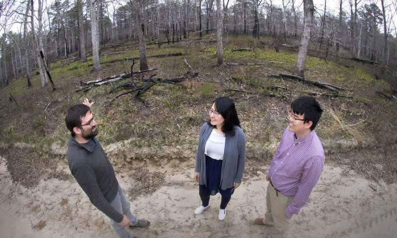 Click to enlarge forest fire researchers