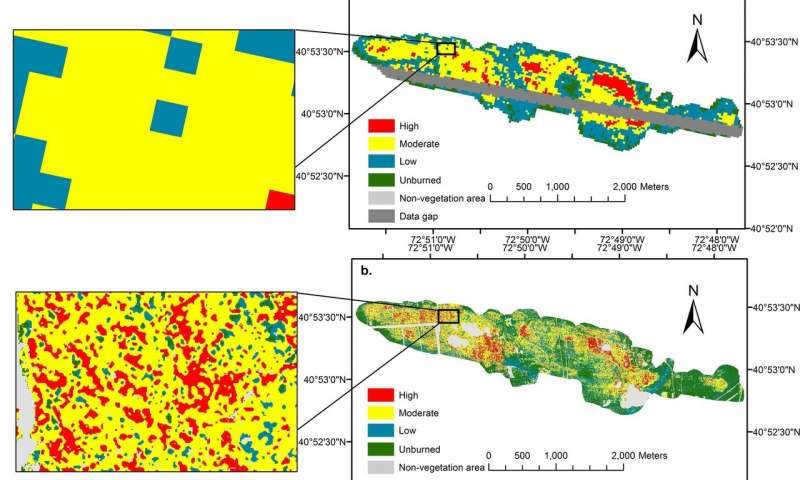 Click to enlarge satellite image forest fire damage