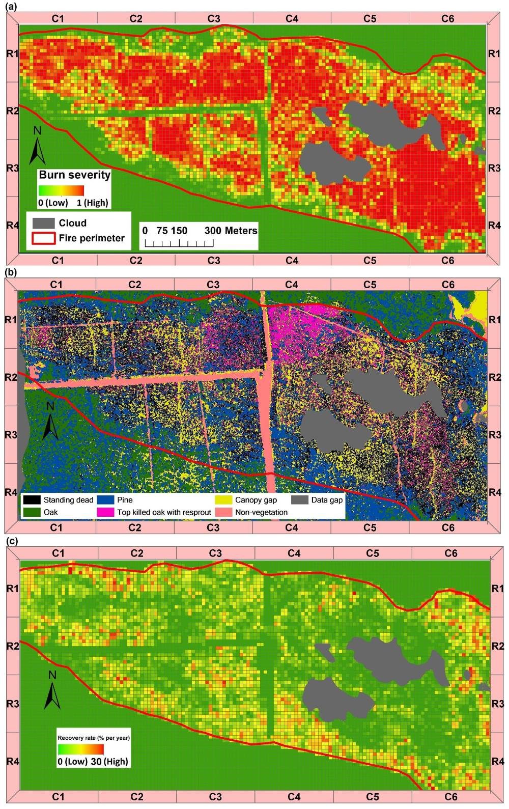 Click to enlarge satellite image forest fire recovery