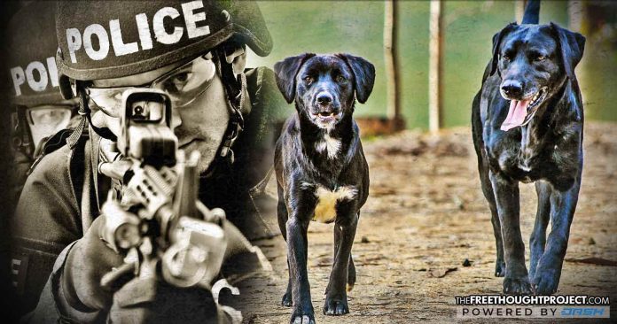 police and dogs