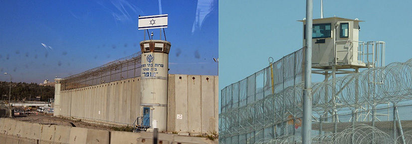Palestine fence