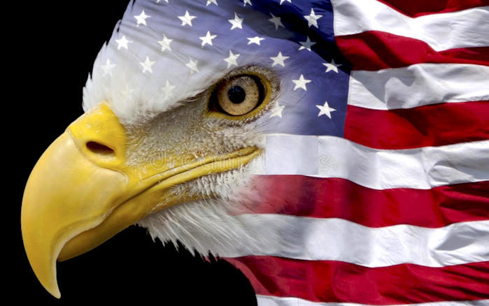 Click to enlarge eagleflag
