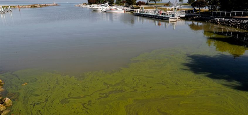 Click to enlarge dirty water