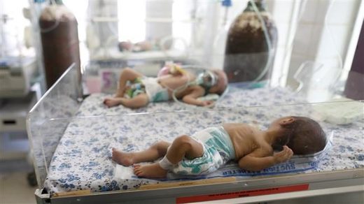 Click to enlarge babies yemen incubator