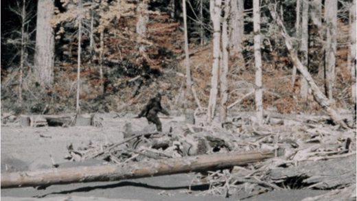 Bigfoot1