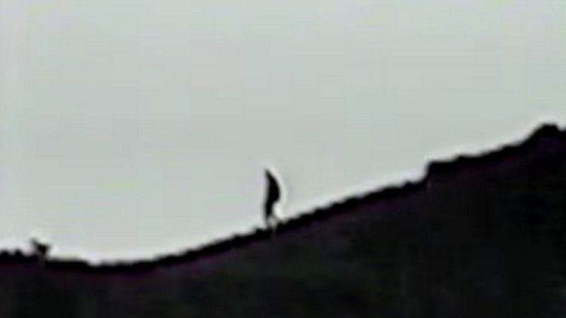 Bigfoot2