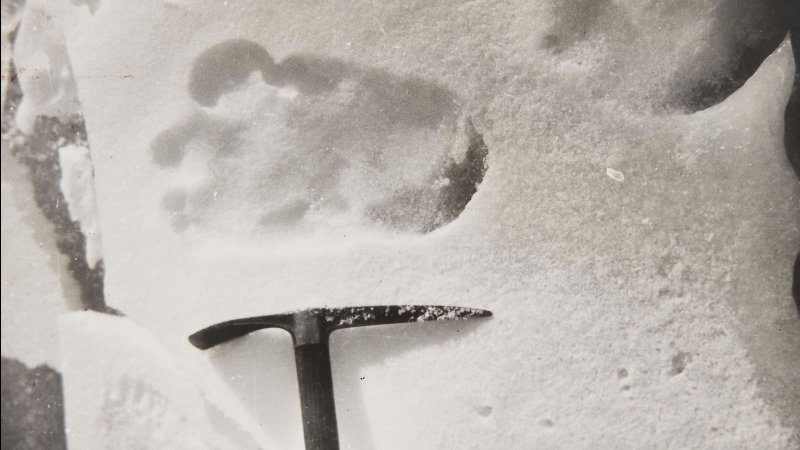 Bigfoot print