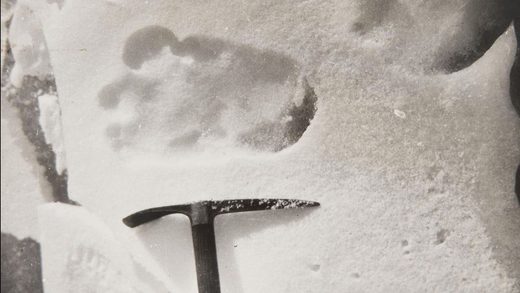 Bigfoot print