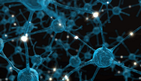 Click to enlarge neurons